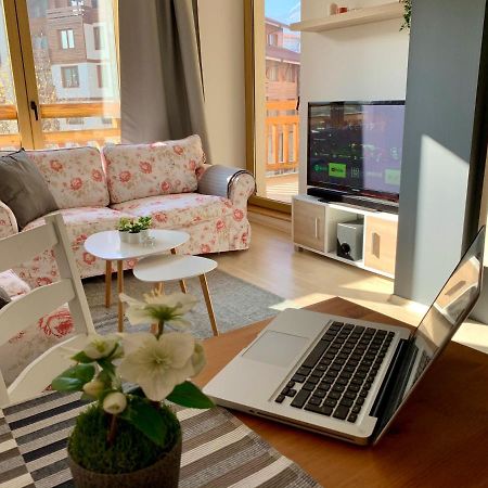 Premium Apartments 班斯科 外观 照片