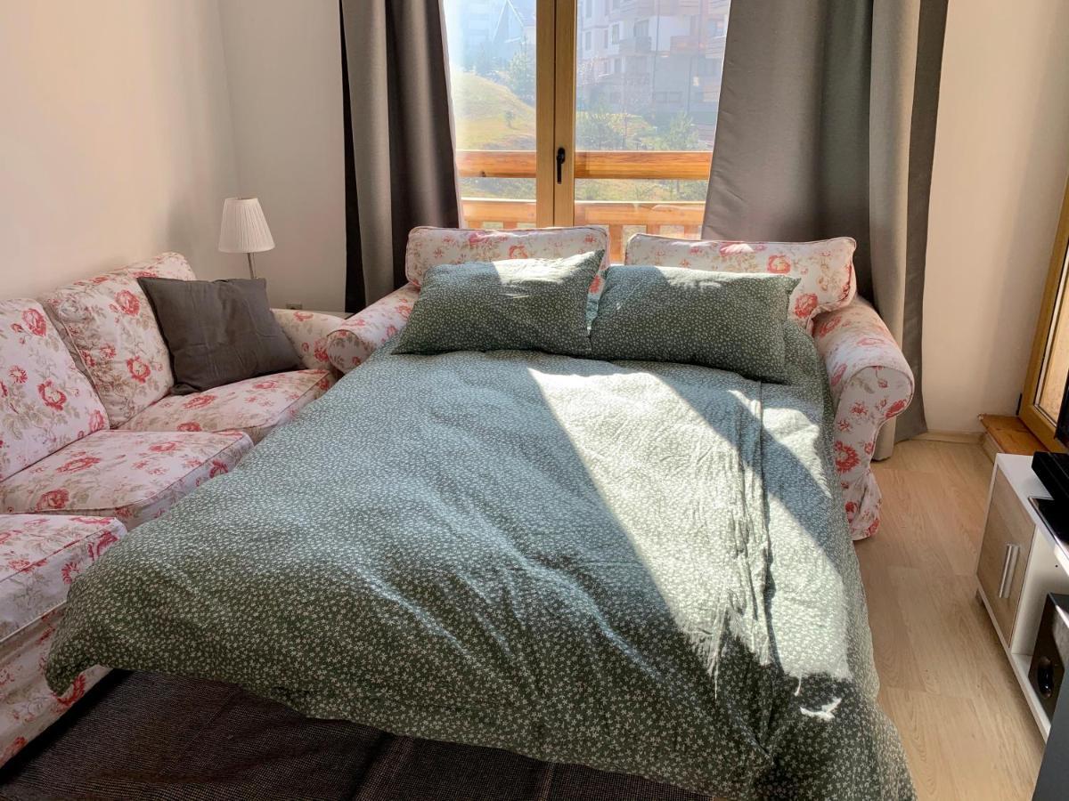 Premium Apartments 班斯科 外观 照片