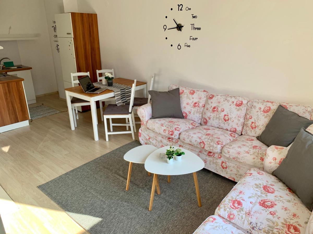 Premium Apartments 班斯科 外观 照片